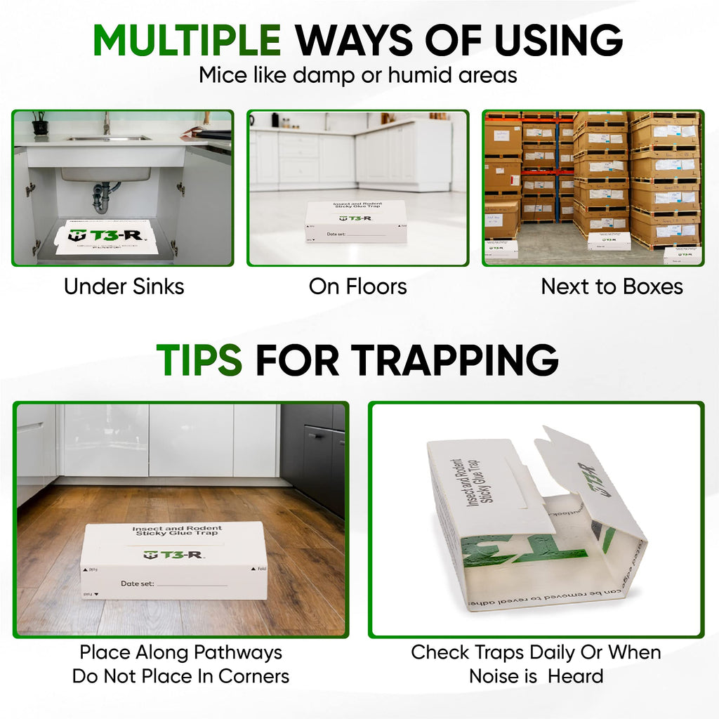 T3-R Sticky Large Rat & Mice Glue Traps | Mouse and Insect Glue Boards | Disposable Non-Toxic Glue Traps for Mice and Rats | Peanut Butter Scent Sticky Traps (36 Pack)