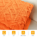 Aganear Fleece Throw Blanket - Cozy Soft Fuzzy Throw Blanket Boho Fall Decor Throw Blankets for Couch, Warm Present for Birthday, Christmas, Halloween, Housewarming(50"x60", Burnt Orange)