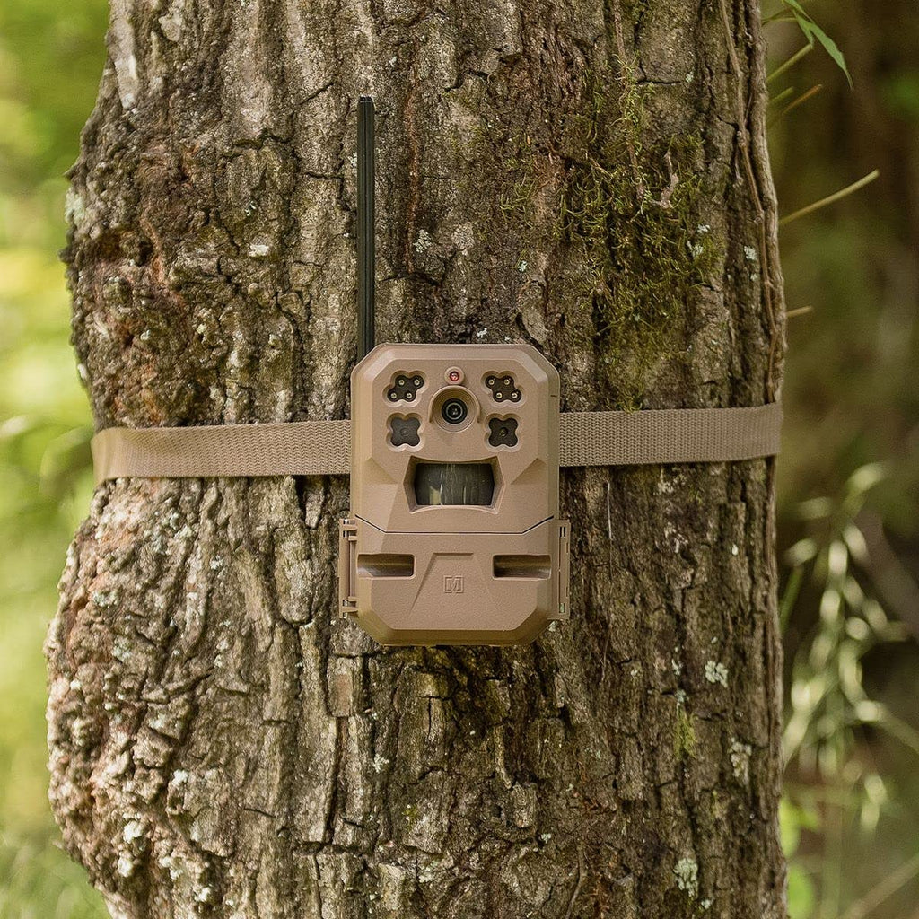 Moultrie Edge Cellular Trail Camera - Auto Connect - Nationwide Coverage - HD Video-Audio - Built in Memory - Cloud Storage - 80 ft Low Glow IR LED Flash