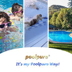 POOLPURE FC-2812 Spa Filter Replaces Sundance 6540-502, Sundance 850 780 Series, Filbur FC-2812, PSD25-6, Darlly PP2002,AK-6540502, Hot Tub Filter Cartridge 1PACK