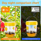 3pc Wasp Traps Outdoor Hanging