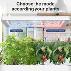 iDOO Hydroponics Growing System Kit 12Pods, Christmas Gifts for Women Mom, Herb Garden Indoor with LED Grow Light for Home School, Built-in Fan, Auto-Timer, Adjustable Height Up to 11.3", 12Pods-White