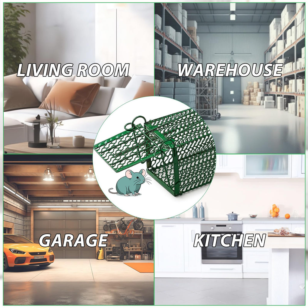 Kittmip 8 Pcs Humane Rat Trap Chipmunk Squirrel Cage Trap Foldable Rodent Trap for Small Live Animal Voles Hamsters Cage Catch and Release for Indoors Outdoors Kitchen Yard Garage (Green)
