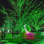 300 LED St Patricks Day Lights, 98.5FT Christmas String Lights with 8 Lighting Modes, Waterproof & Connectable Mini Lights, Plug in for Indoor Outdoor Holiday Xmas Party Bedroom Decorations (Green)