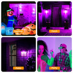 Hompavo 【Upgraded LED Flame Light Bulbs, 3 Modes Flickering Light Bulbs, E12 Chandelier Base Candle Fire Light Bulb for Halloween Christmas Party Porch Indoor & Outdoor Home Decoration, Purple 6 Pack