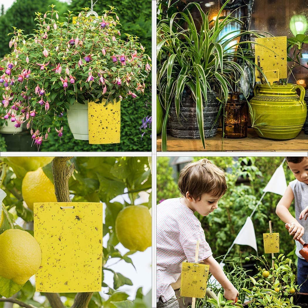 Gideal 30-Pack Dual-Sided Yellow Sticky Traps for Flying Plant Insect Such as Fungus Gnats, Whiteflies, Aphids, Leafminers,Thrips - (6x8 Inches, Included 30pcs Twist Ties)