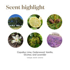 Young Living Stress Away Essential Oil Blend - Relaxing and Calming - 100% Pure - 5 ml - Blend of Copaiba, Lime, Cedarwood, Vanilla, Ocotea, and Lavender