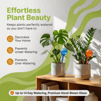 Little Green Leaf Automatic Plant Watering Globes Self Watering Planter Inserts (Set of 4) | Hands Free Multicolor Glass Bulbs | Planter Spikes to Support Indoor & Outdoor Plant Health (350ml)
