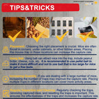 CANAANIN Large Rat Traps, Mouse Traps That Work, Excellent Traps for Gophers, Snap Traps for Indoor Outdoor, Quick Effective Sanitary Safe, Snap Trap for Mouse, Chipmunk, Safety and Friendly 6 Pack
