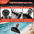 LOBIUTIYA 77707-0010 Thermal Regulator and 77707-0001 Manifold Bypass Valve Kit Compatible with MasterTemp 400 250 200 300 333 and Sta-Rite Pool and Pool Heaters, 38000-0007S Thermal Regulator kit