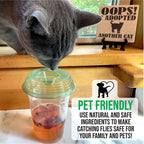 Billy-Bob Fly Lid - Turn Almost Any Cup Into A Fly Trap. Indoor and Outdoor Use - 4 Pack (4 Fly Lids Total)