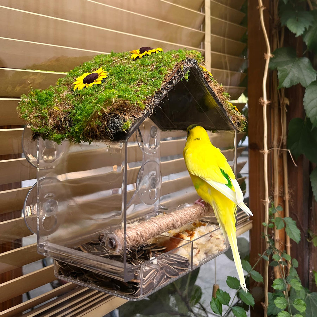 Window Bird Feeder with 4 Strong Suction Cups, DIY Clear Bird Feeder with Lawn on Top, Wild Bird House Window for Garden or Yard Decor, Elderly Kids Viewing,Bird Watching Gift