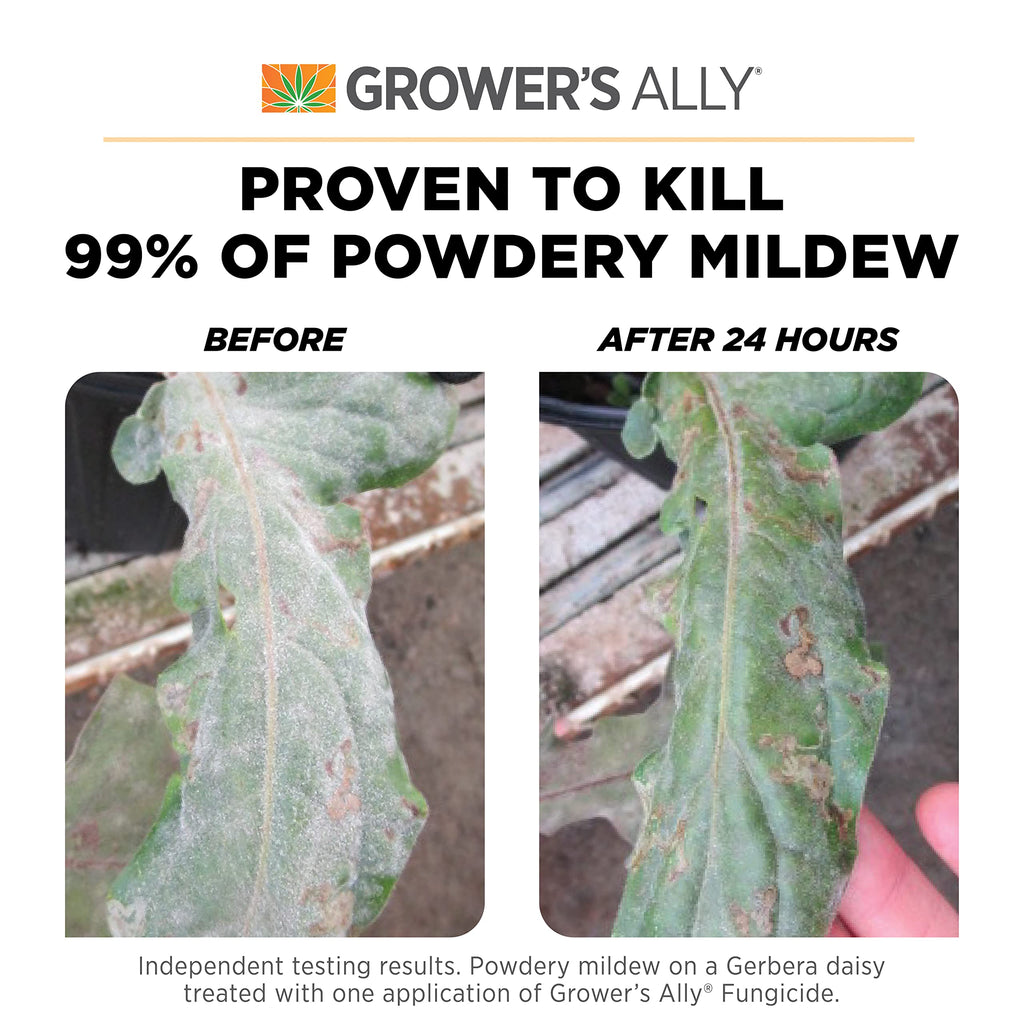 Grower's Ally Fungicide for Plants | Plant Fungicide Treatment Control for Powdery Mildew, Fungus and More - Trusted by Cultivators for Indoor & Outdoor Use, 8oz Concentrate Makes 5 Gallons