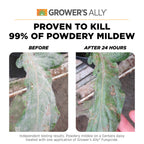 Grower's Ally Fungicide for Plants | Plant Fungicide Treatment Control for Powdery Mildew, Fungus and More - Trusted by Cultivators for Indoor & Outdoor Use, 8oz Concentrate Makes 5 Gallons