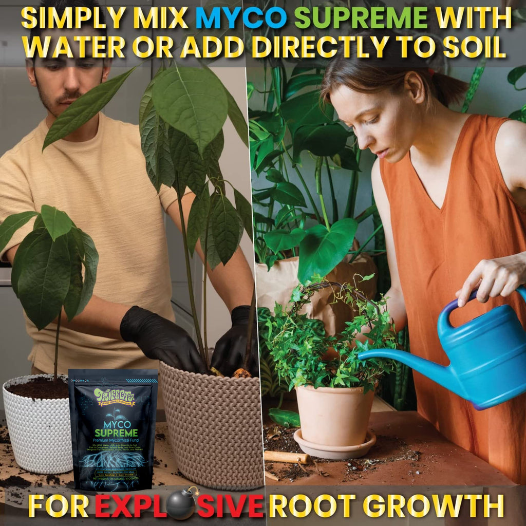 Mycorrhizal Fungi Root Enhancer for Plants - Bigger, Stronger, Healthier Roots, Use In Soil and Hydroponics - Super 20X Concentrated Mycorrhizae Inoculant Strain - Trifecta Myco Supreme (175 Grams / 6 OZ)