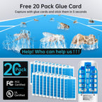 Fruit Fly Traps Indoor for Home: Plug in Mosquito Bug Zapper Gnat Moth Catcher with 9W Night UV Light, 2 Devices 20 Sticky Glue Board Refills for Indoors Flying Insect Trap