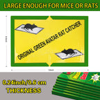 Ezoon 24 Pack Large Mouse Glue Traps with Enhanced Stickiness, Sticky Rat Snake Mouse Traps Pad Board for House Indoor Outdoor, Easy to Set, Extra Large (8.3" x 12")