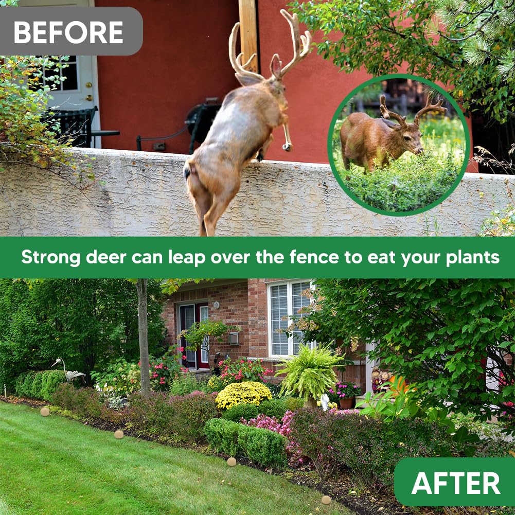 AMDEIUR Deer Repellent for Plants, Rabbit Repellent Outdoor, Deer Deterrent for Yard, Bunny Repellent, Deer Away, Keep Rabbits Out of Your Garden, Safe for Family, Pets and Plants, 8 Packs