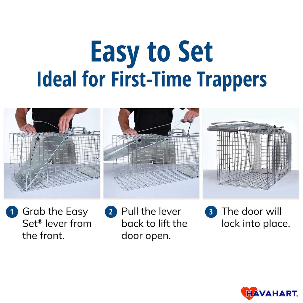 Havahart Easy-Set Catch and Release Small 1-Door Humane Live Animal Trap for Squirrels, Rabbits, Skunks, and Other Small Animals - 1083