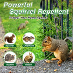 Pblovylu 24 Pack Squirrel Repellent Balls, Peppermint Oil Squirrel Deterrent for Groundhog Outdoor & Attic Use Squirrel Repeller for Garage, Garden, Safe for Family & Pets