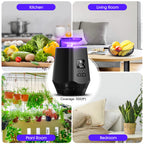 Fooxem Fruit Fly Traps for Indoors, Smart Fly Trap Indoor Bug Zapper Gnat Traps for House Indoor with Temperature and Humidity Sensor, 10PCS Sticky Boards Black 01