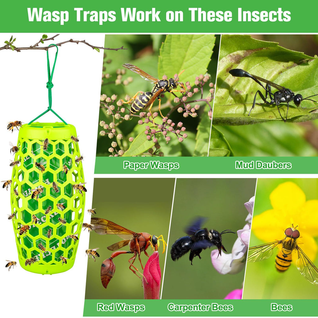 Wasp Traps Outdoor Hanging, Wasp Trap Bee Traps Catcher, Sticky Wasp Trap for Indoor/Outdoor, Effective Insect Trap,Carpenter Bees, Red Wasp & Paper Wasps-2 Pack 4 Sticky Boards(Green)