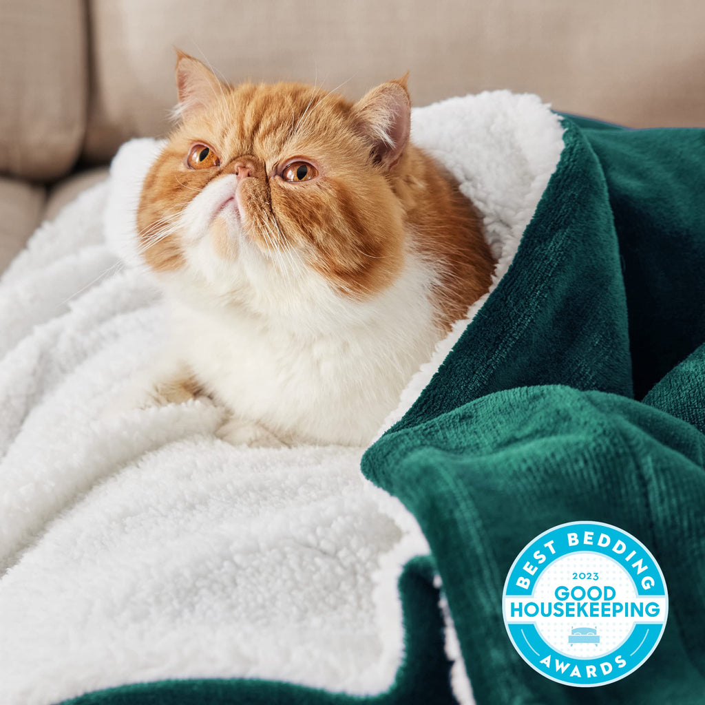 Bedsure Sherpa Fleece Throw Blanket Twin Size for Couch - Thick and Warm Blanket for Winter, Christmas Throw Blanket Gift, Dark Green, 60x80 Inches