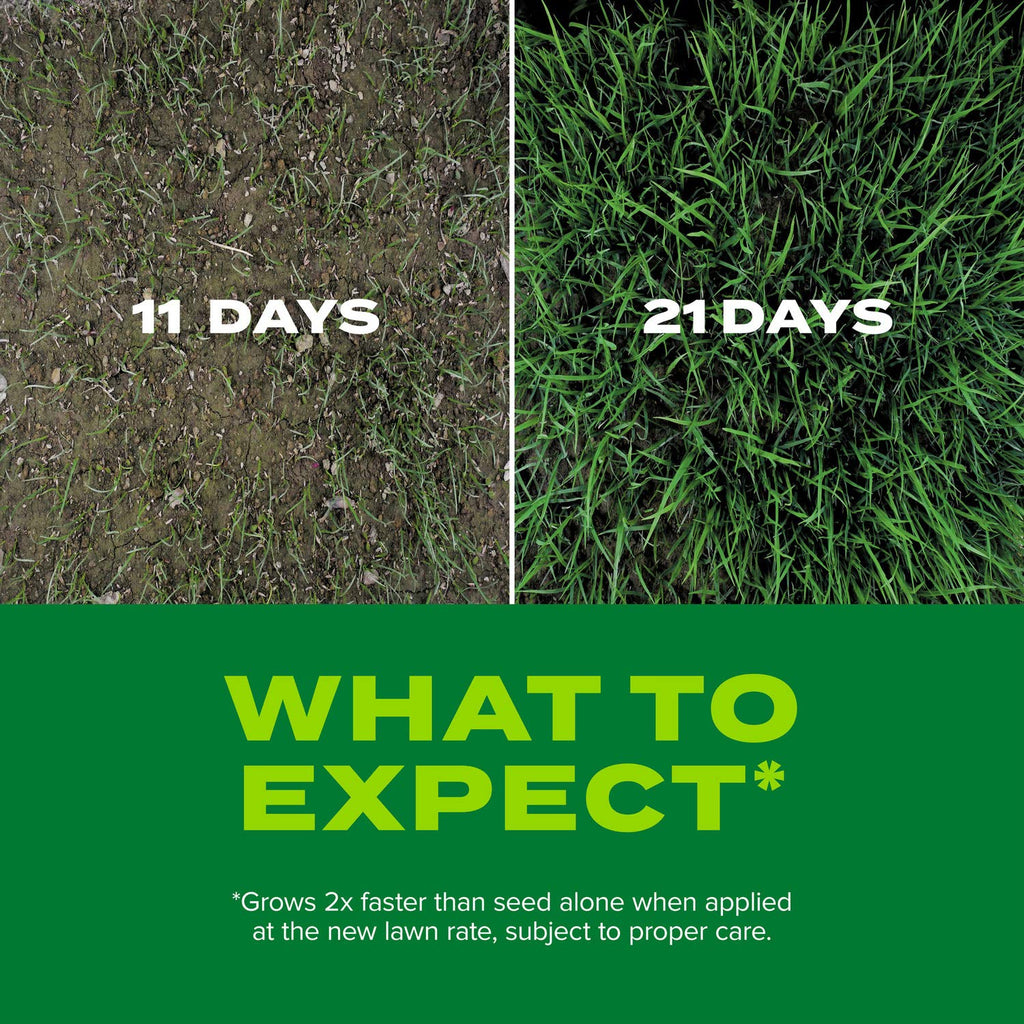 Scotts Turf Builder Rapid Grass Tall Fescue Mix - Combination Grass Seed and Fertilizer for Lawns, Lawn Seed That Grows in Just Weeks, 5.6 lbs.