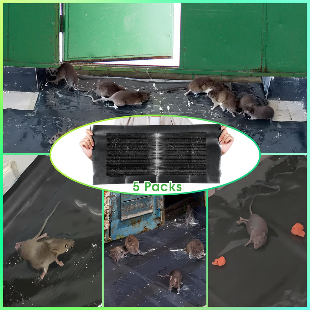QUALIREY 24 x 11'' Anti Slip Rat Snake Rodent Sticky Pads Pet 5 Pack Mouse Glue Traps