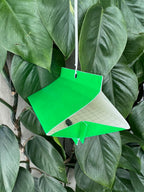VivaTrap VT-102 Citrus Leafminer Trap & Lure (2 Pack)