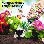 200 Sheets Fruit Fly Traps Sticky Traps for Fruit Fly Gnat Trap for House Indoors Sticky Traps Catcher for Gnats Fungus Gnats Mosquito Catcher Traps for Kitchen Outdoor Plants (Black)