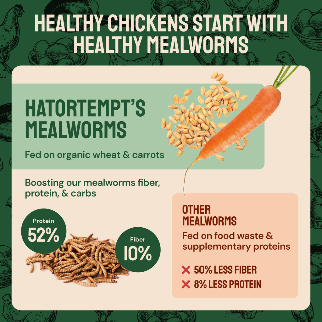 Hatortempt Bulk Dried Mealworms 10 lbs – Premium Non-GMO Dried Mealworms for Chickens – High Protein Organic Chicken Feed - Meal Worms for Birds & Chicken Treats for Laying Hens