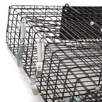Rugged Ranch CHPTO Chipmunkinator Large Metal Wire Live Chipmunk Catch & Release Trap Cage w/Easy Open Top Lid & 2 Door System, Black (2 Pack)