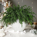 LZNPA 12 Pcs Realistic Christmas Pine Branches Natural Droopy Soft Bendable Artificial Pine Stems Picks Lifelike Greenery Stems for Vases Cedar Wreaths Garland Outdoor Indoor Christmas Decorations