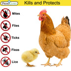 Premo Guard Poultry Spray - 16 oz - Kill Scaly Leg, Mites, Fleas, Lice, & Other Pest on Chickens and in Coops - Natural Plant Based Oils for Control, & Prevention - Family Safe with No Egg Withdrawl