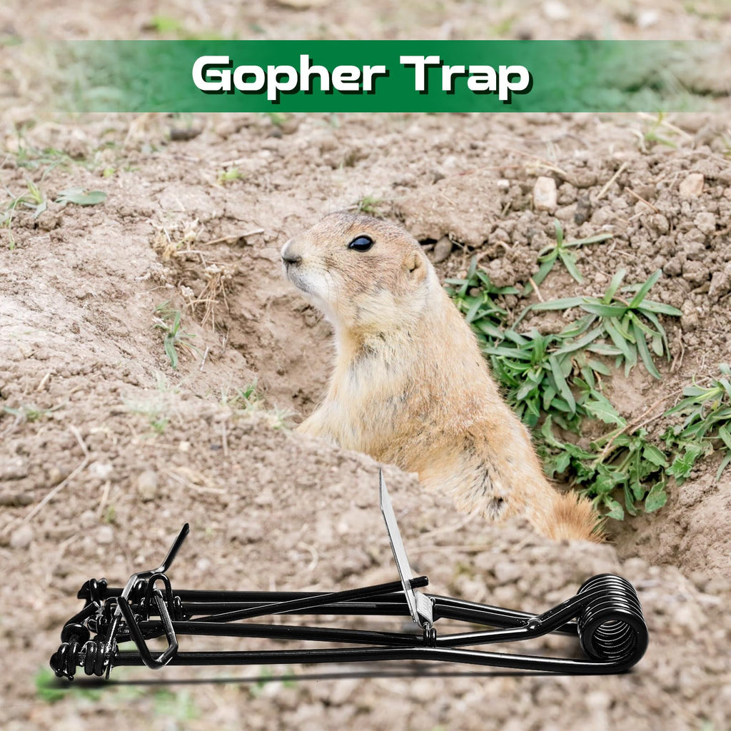 Qualirey 4 Pcs Outdoor Gopher Trap Easy Set Mole Trap Weather Resistant Gopher Killer Vole Trap for Lawn Garden Farm (Black)