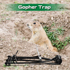 Qualirey 4 Pcs Outdoor Gopher Trap Easy Set Mole Trap Weather Resistant Gopher Killer Vole Trap for Lawn Garden Farm (Black)