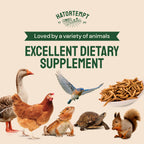 Hatortempt Bulk Dried Mealworms 10 lbs – Premium Non-GMO Dried Mealworms for Chickens – High Protein Organic Chicken Feed - Meal Worms for Birds & Chicken Treats for Laying Hens