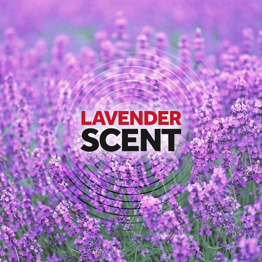 Raid Ant & Roach Killer Lavender 17.5 Ounce (Pack of 6)