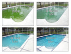REVIVE! Swimming Pool Phosphate and Algae Remover Chemical for Pools - 32 oz