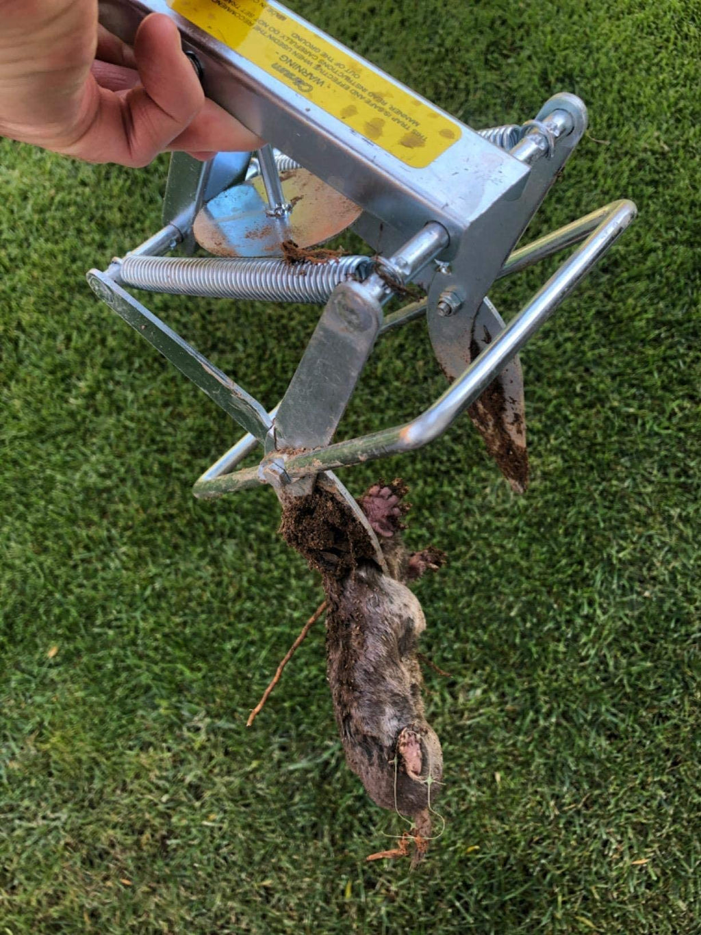 Garsum Plunger Mole Trap Gopher Trap Reusable Quick and Clean Kill,2 Scissor Trap