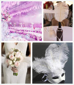 AWAYTR 10-12 inch (25-30cm) Natural Ostrich Feathers for Wedding Centerpieces Home Decoration,Flower Arrangement,DIY Christmas Decorations (20pcs,White)