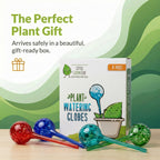 Little Green Leaf Automatic Plant Watering Globes Self Watering Planter Inserts (Set of 4) | Hands Free Multicolor Glass Bulbs | Planter Spikes to Support Indoor & Outdoor Plant Health (350ml)