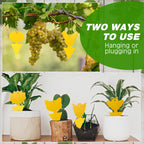 Qualirey 200 Pcs Fruit Fly Traps Fungus Gnat Killer Bug Mosquito Trap Fruit Fly Killer Double Side Sticky Traps Plant Trap Insect Catcher Killer for Indoor Outdoor House Kitchen (Yellow,Exquisite)