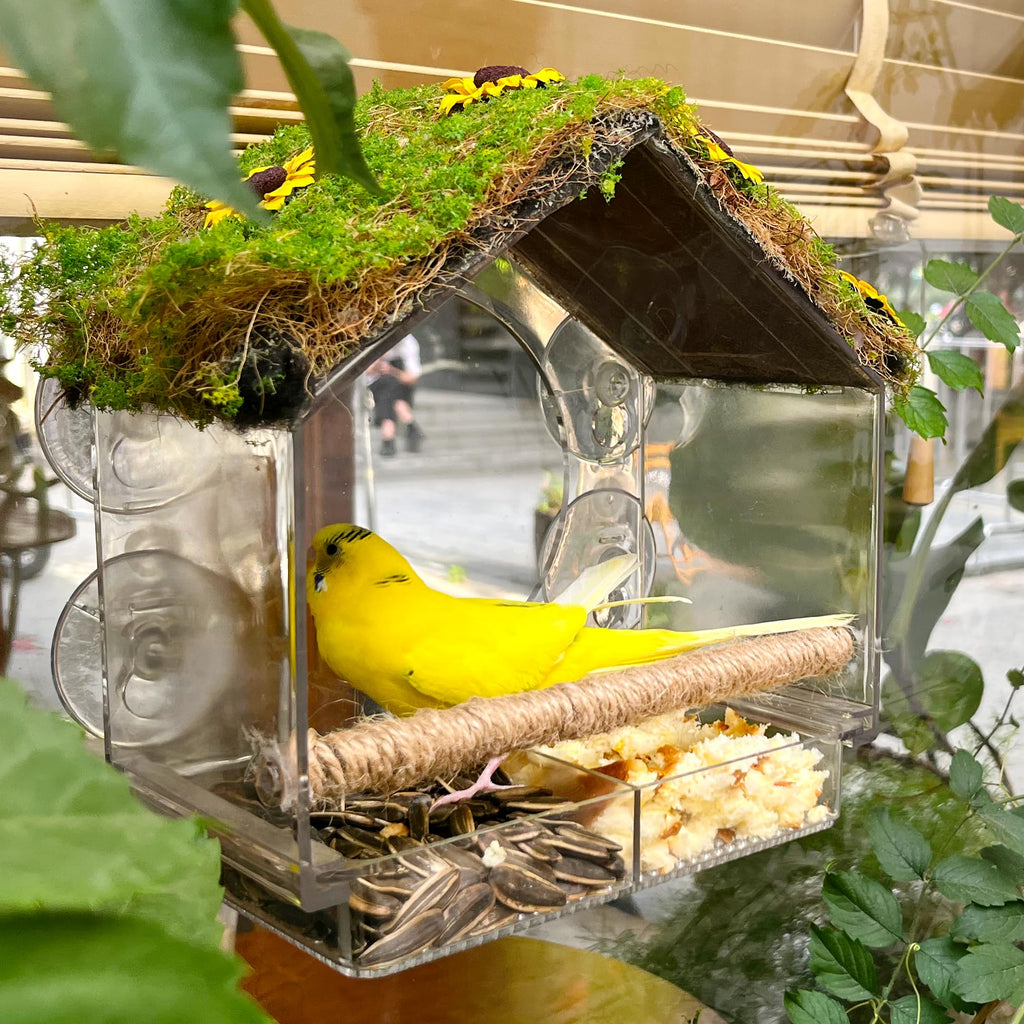 Window Bird Feeder with 4 Strong Suction Cups, DIY Clear Bird Feeder with Lawn on Top, Wild Bird House Window for Garden or Yard Decor, Elderly Kids Viewing,Bird Watching Gift