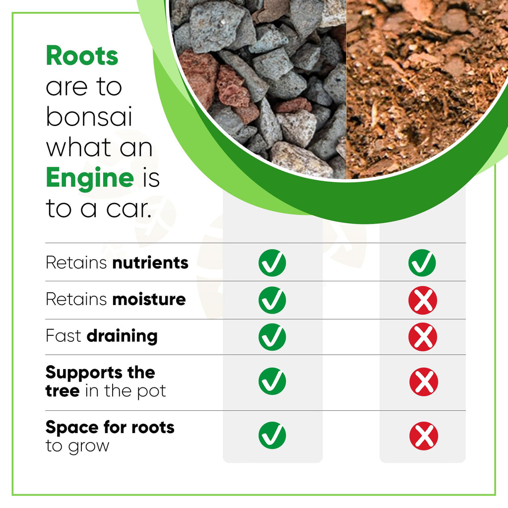 Bonsai Outlet Bonsai Soil Mix - Tinyroots All Purpose Bonsai Soil Mix Ready to Use Blend, Used for All Varieties of Bonsai Trees, 2.5 Gallons