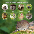 Homsor Rodent Repellent Natural Peppermint Oil Mouse Repellent Balls Pet Safe Mice Deterrent to Keep Rat Mice Mouse Rodent Out of Indoor House Outdoor Car Engines RV Garage Chicken Coop