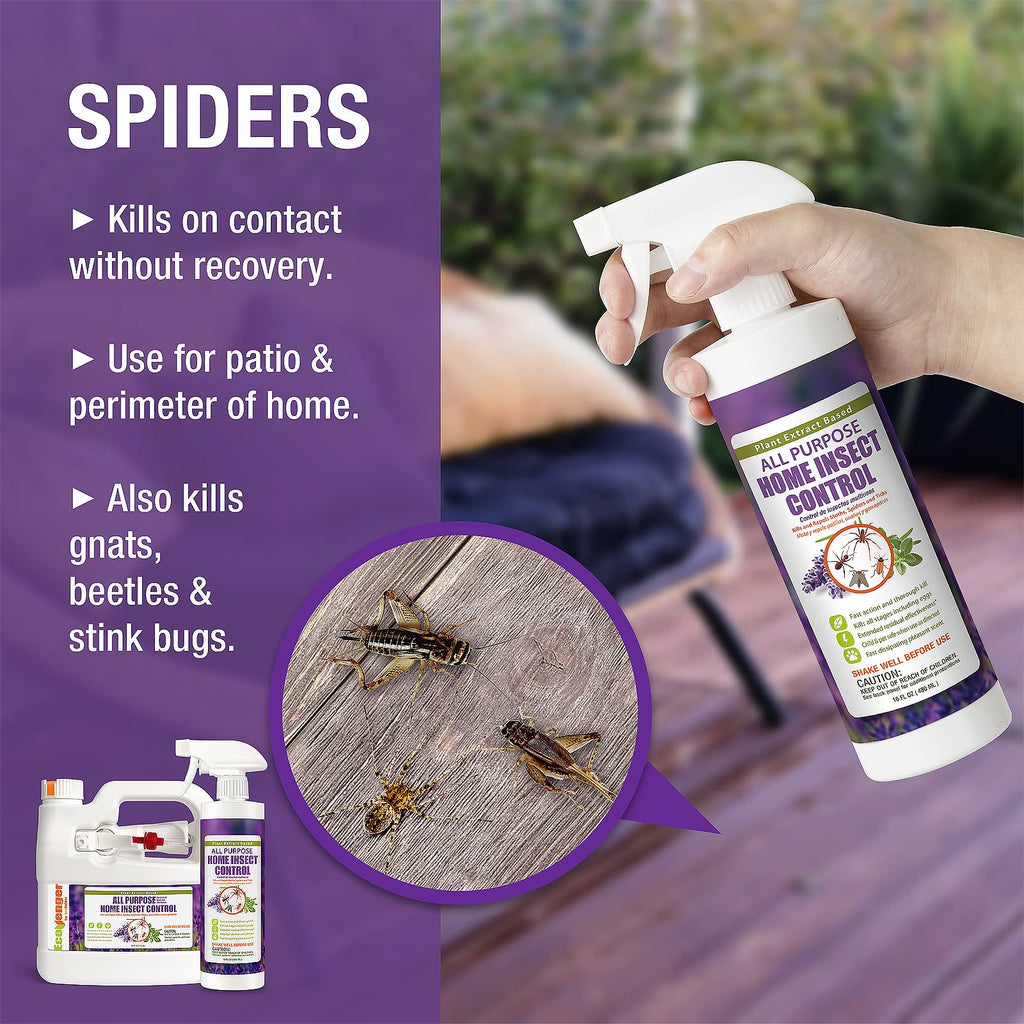 EcoVenger All Purpose Home Insect Control 1/2 Gallon with Trigger Sprayer by EcoRaider, Fleas, Fruit Flies, Gnats, Moths, Roaches, Spiders, Fast Kill