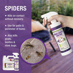 EcoVenger All Purpose Home Insect Control 1/2 Gallon with Trigger Sprayer by EcoRaider, Fleas, Fruit Flies, Gnats, Moths, Roaches, Spiders, Fast Kill