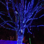Dazzle Bright Outdoor Christmas String Lights, 1000 LED 328 FT Plug in Fairy Light with Remote Control 8 Modes & Timer, Waterproof Decoration for Home Garden Yard Xmas Wedding, Blue